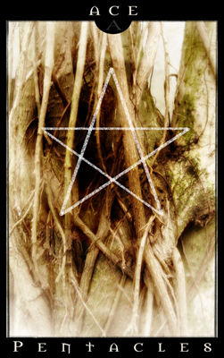 Savage tarot by MichelleX