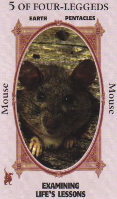 Animal Wise Tarot