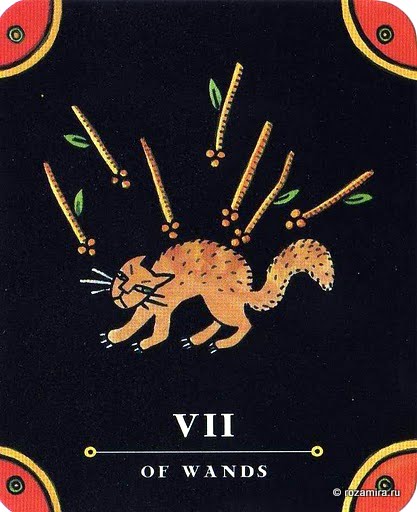 Nova Tarot