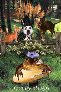 Animal Tarot