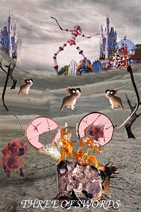 Animal Tarot