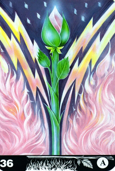 New Aura Soma Tarot