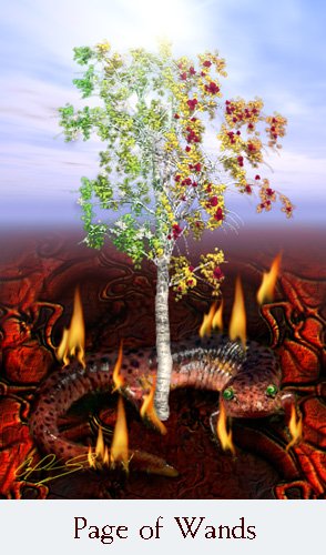 Comparative Collaborative Tarot - Patchwork Tarot