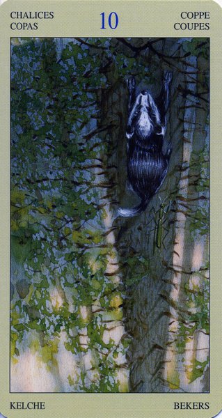 Native American Tarot by Laura Tuan