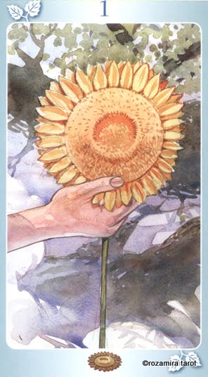 Tarot of the Nymphs