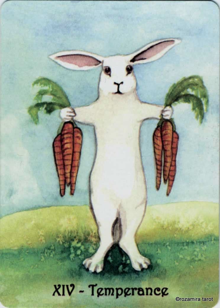 Rabbit Tarot