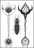 Ironwing Tarot