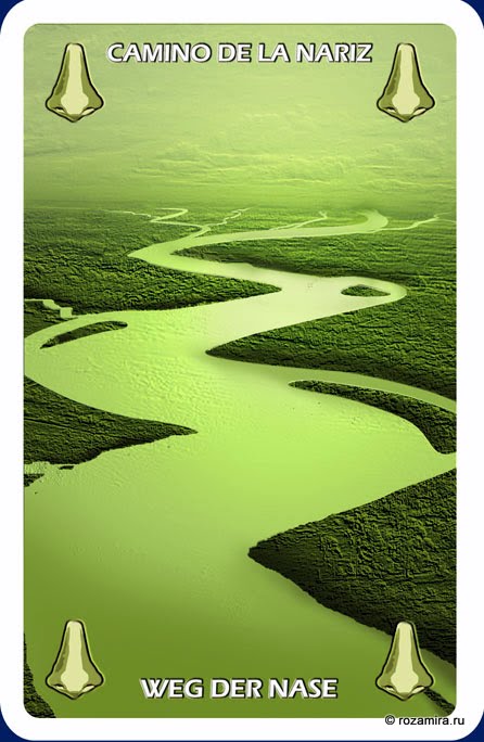 Individuum Universal Tarot