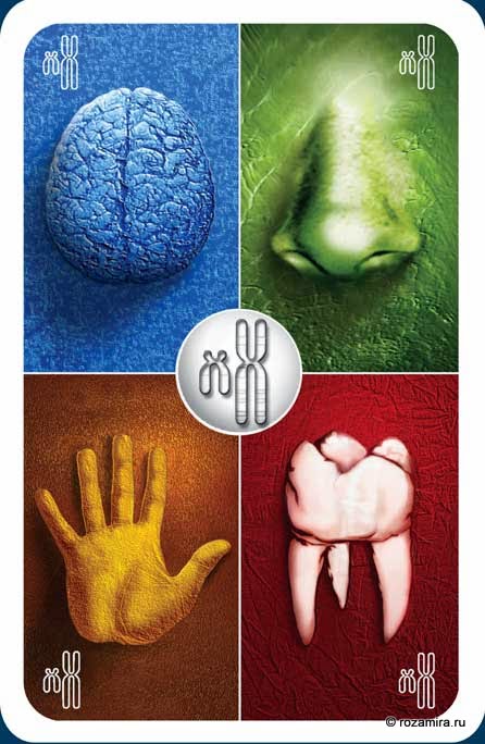 Individuum Universal Tarot