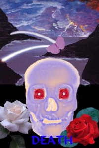 Blue rose