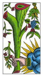 Tarot Classic AGM