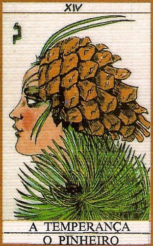 Baum Tarot