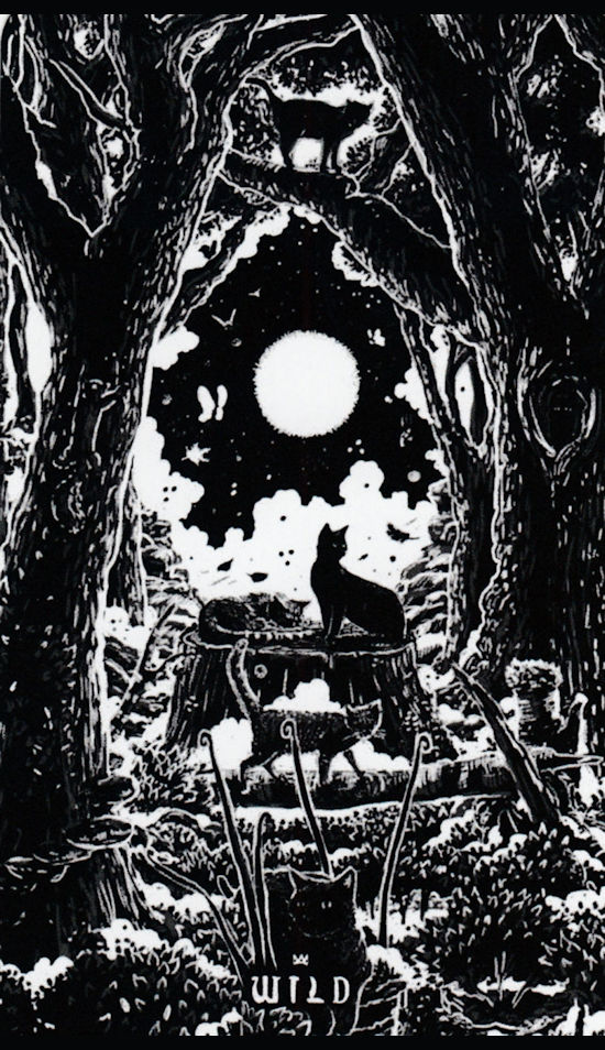 Shadow Light Tarot