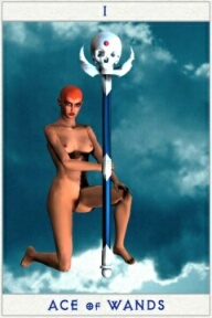 Poser Tarot