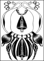Ironwing Tarot