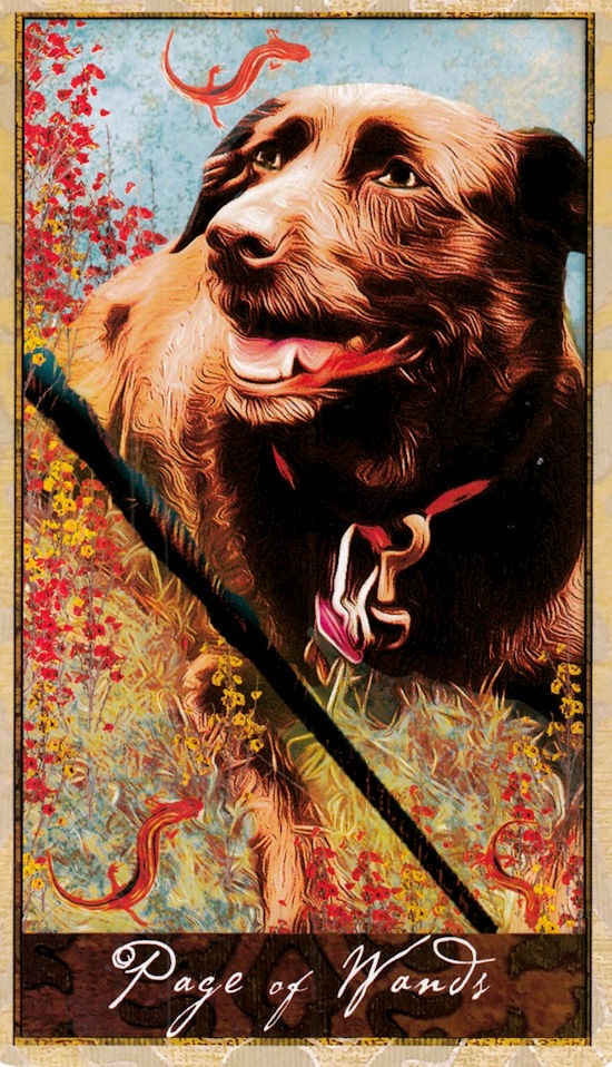 Wise Dog Tarot