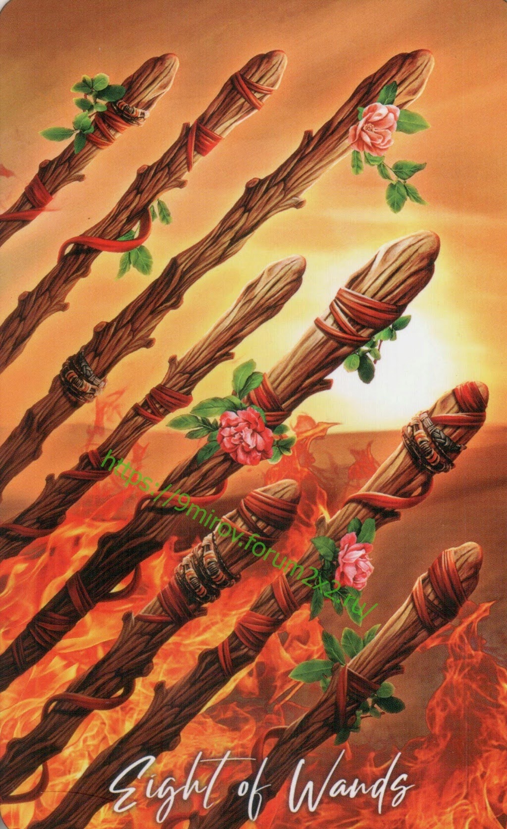 The Elemental Wisdom Tarot