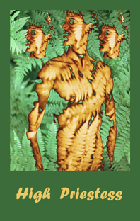 A New Tarot