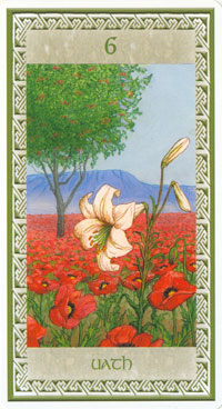 Celtic Oracle