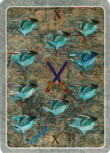 Secret Language of Birds Tarot