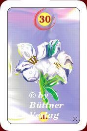 Isabels Traum Lenormand Mini