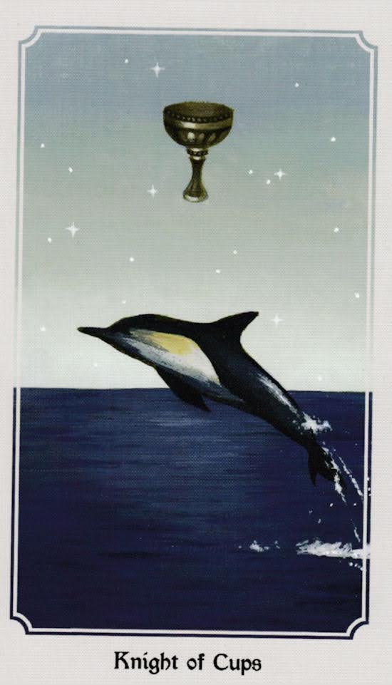 Anima Mundi Tarot