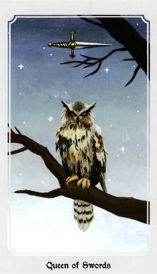 Anima Mundi Tarot