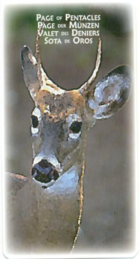 Power Animal Tarot