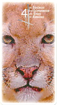 Power Animal Tarot