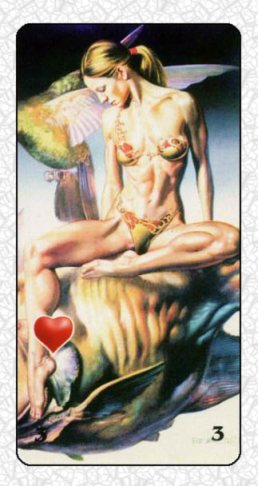 Tarot 2004