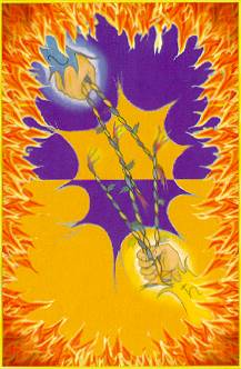 Aura Soma Tarot
