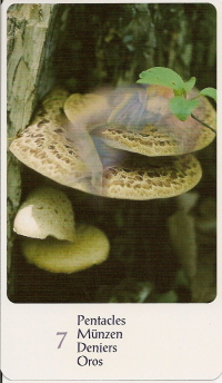 Spirit Tarot