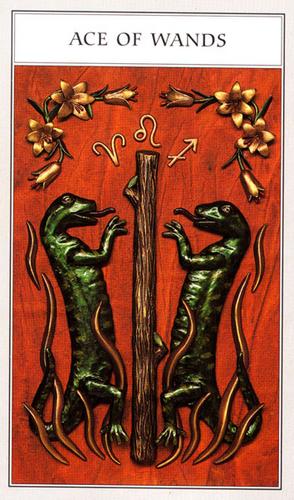 Renaissance Tarot by Jane Lyle