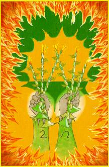 Aura Soma Tarot