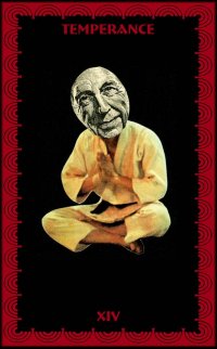 Curious Tarot