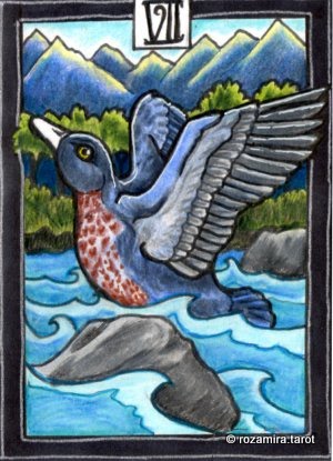 New Zealand Naturally Tarot