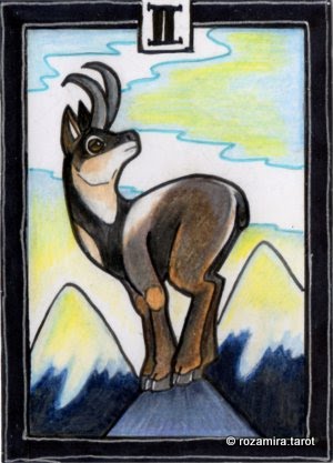 New Zealand Naturally Tarot