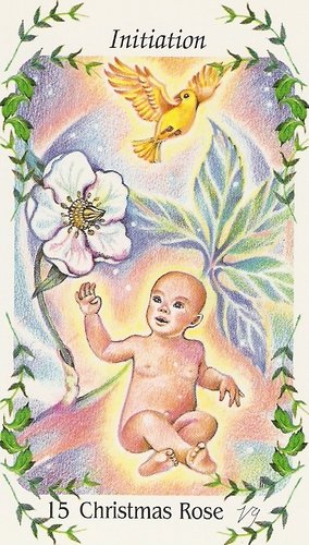 Flower Speaks Deck