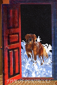 Animal Tarot
