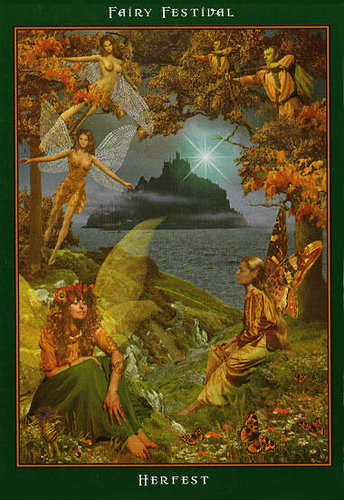 Fairy Ring Oracle