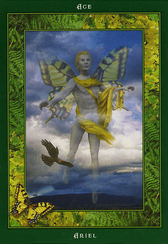Fairy Ring Oracle