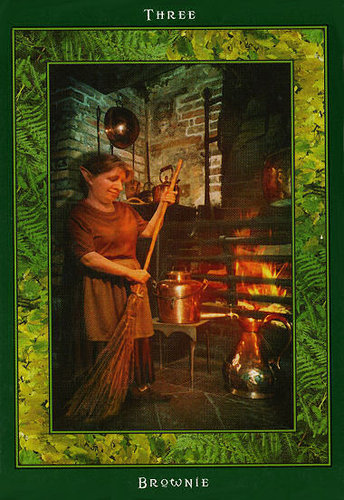 Fairy Ring Oracle