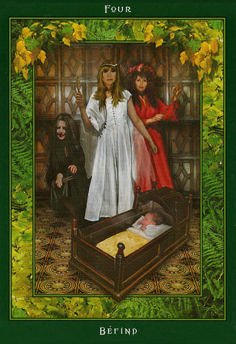 Fairy Ring Oracle