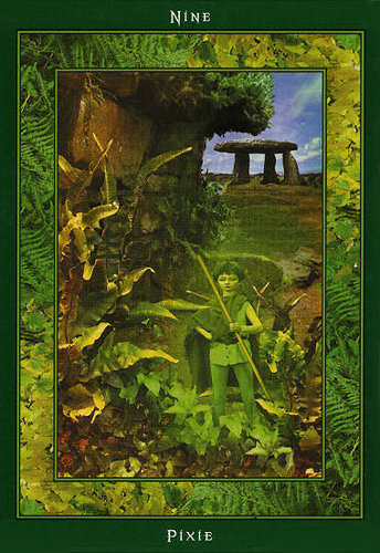 Fairy Ring Oracle