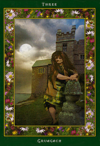 Fairy Ring Oracle