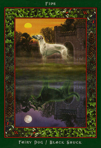 Fairy Ring Oracle