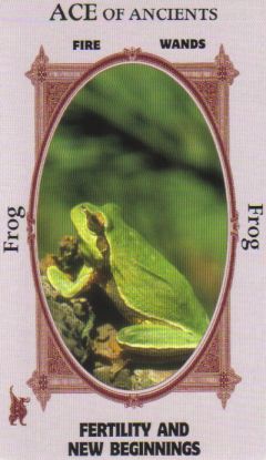 Animal Wise Tarot