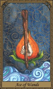 Daum Tarot