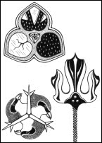 Ironwing Tarot