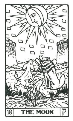 B.O.T.A Tarot